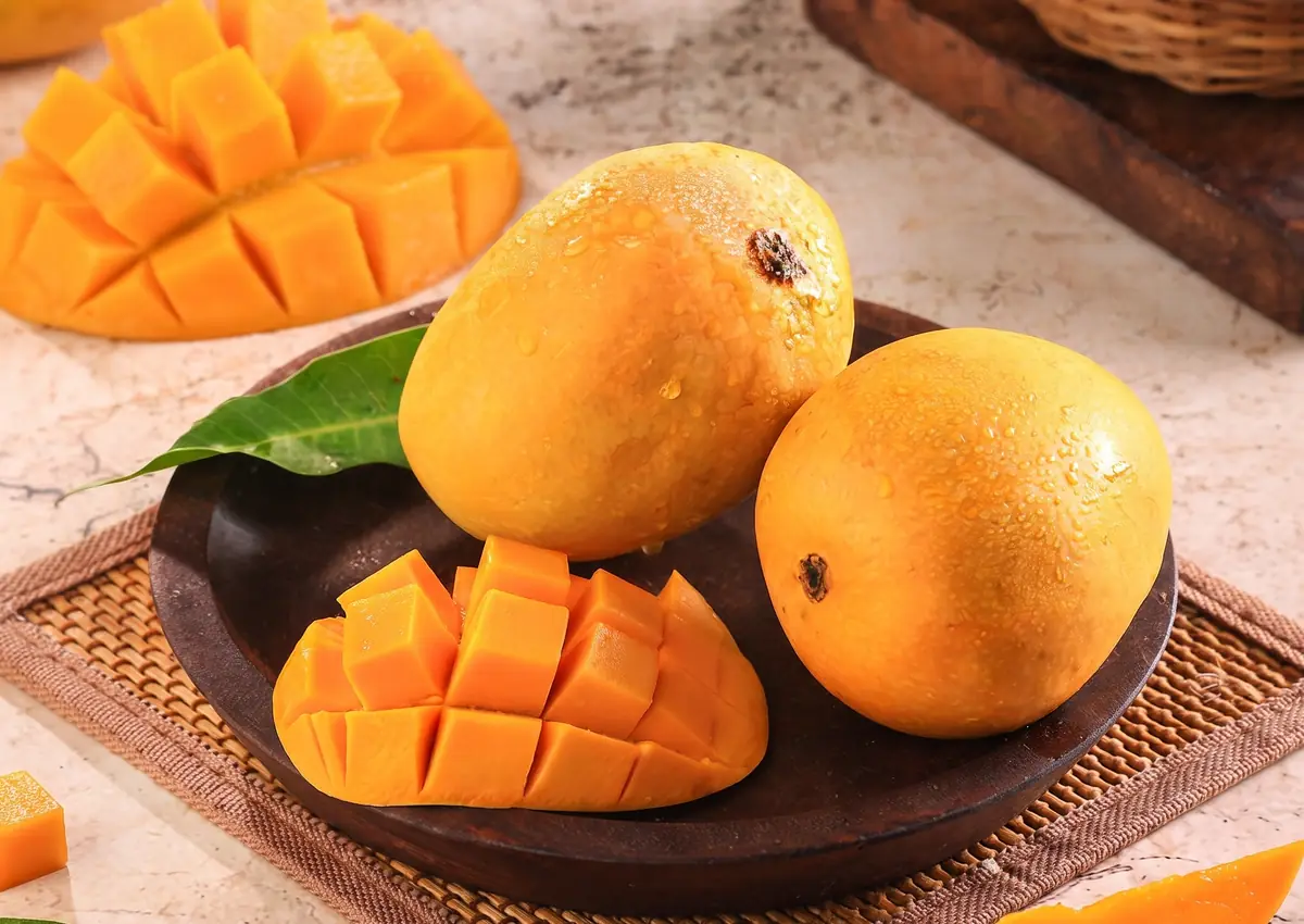 Mango pulp exported by Rudra International