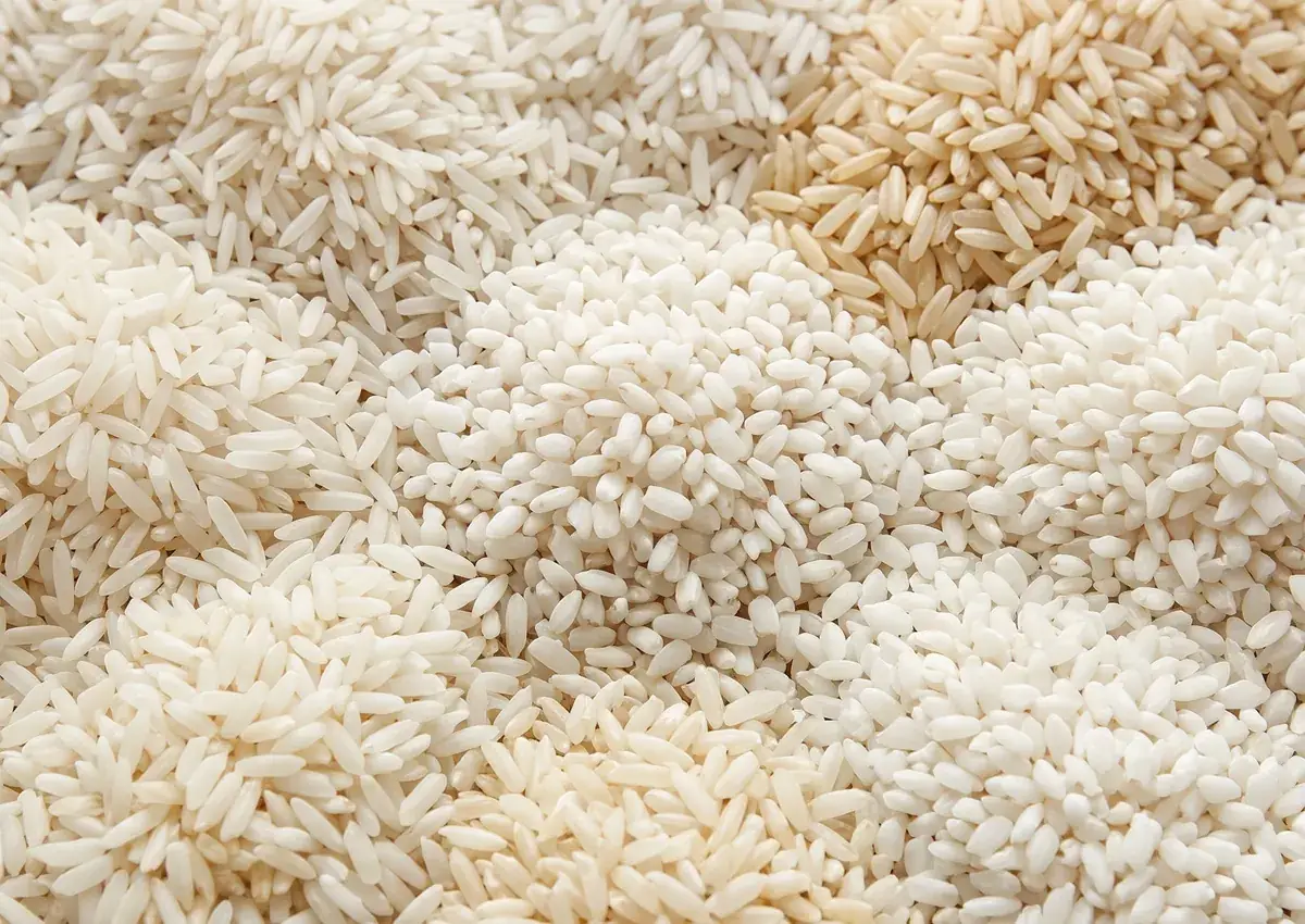 Rice exported by Rudra International
